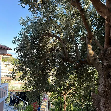Horizont Saranda