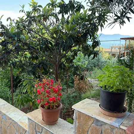 Horizont * Saranda